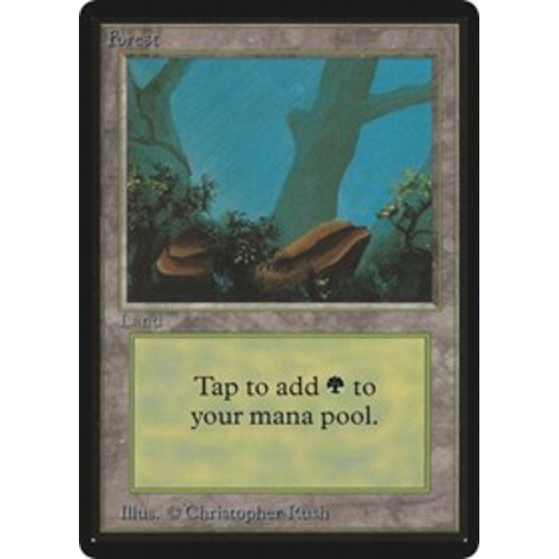 Forest (A) [Limited Edition Beta]