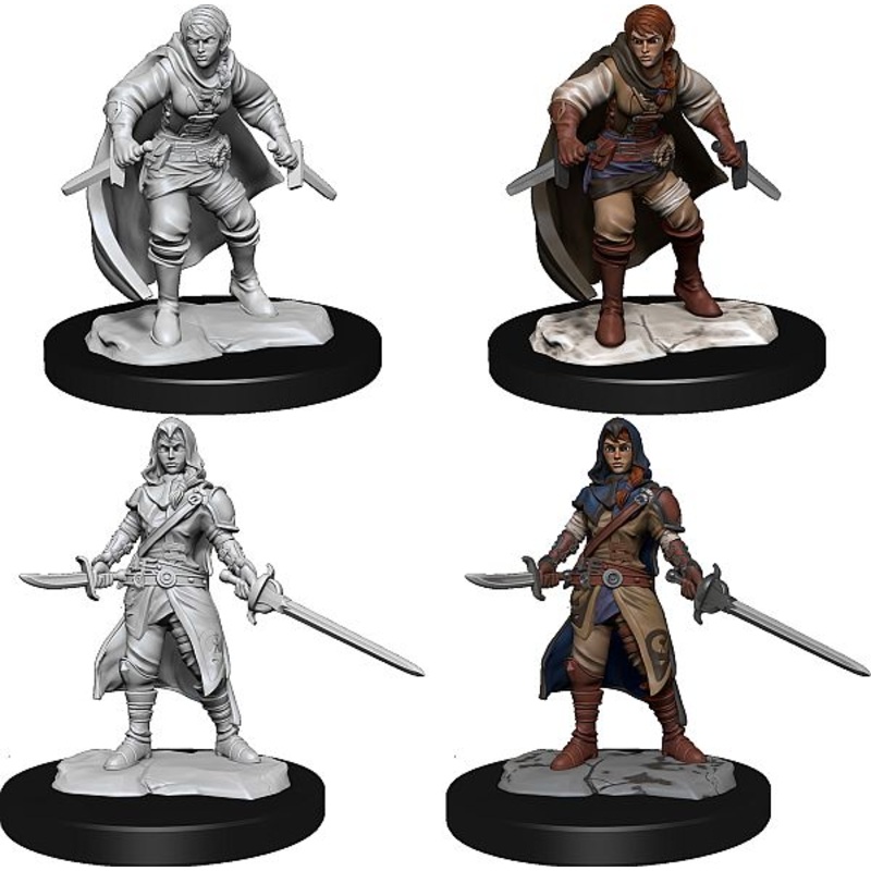 Nolzur's Marvelous Miniatures: Half-Elf Rouge