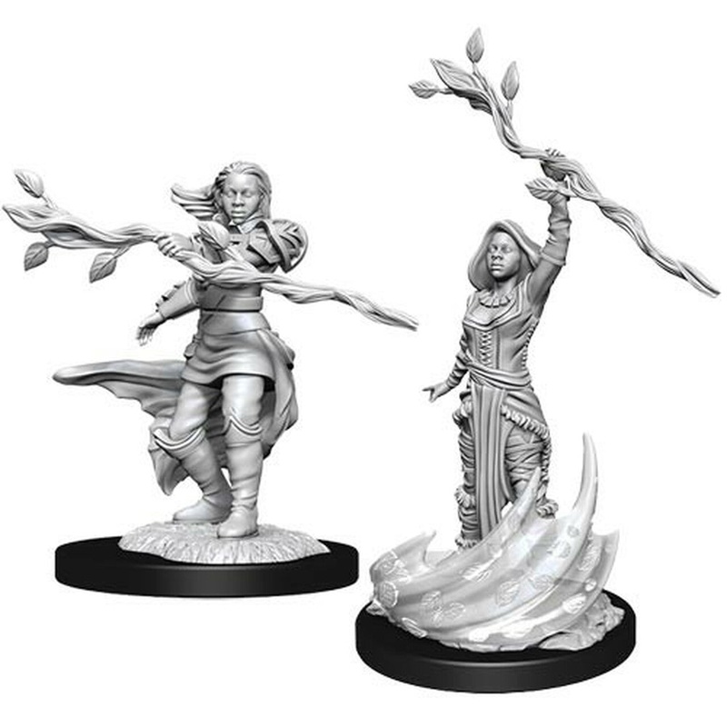 Nolzur's Marvelous Miniatures: Human Female Druid