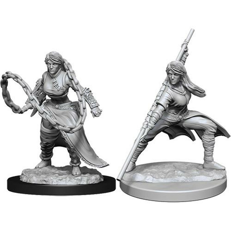 Nolzur's Marvelous Miniatures: Human Female Monk