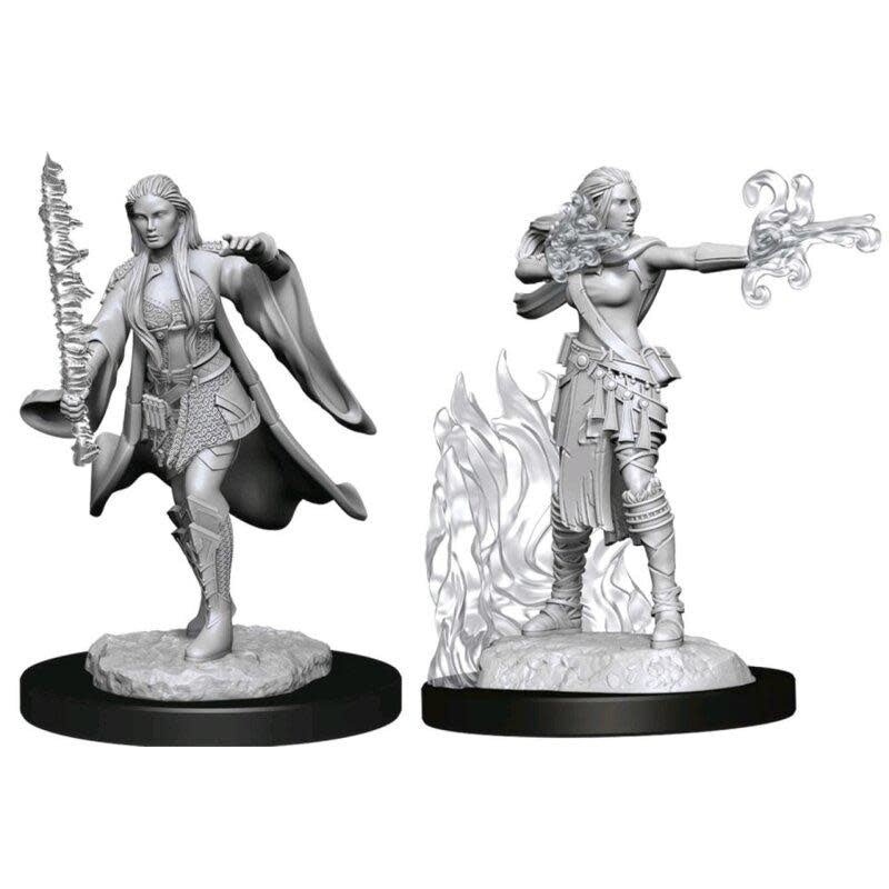 Nolzur's Marvelous Miniatures: Human Female Multiclass Warlock + Sorcerer