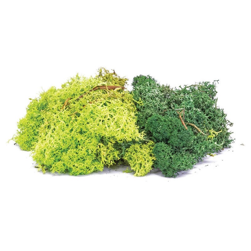 Skale Scenics Lichen Dark Green