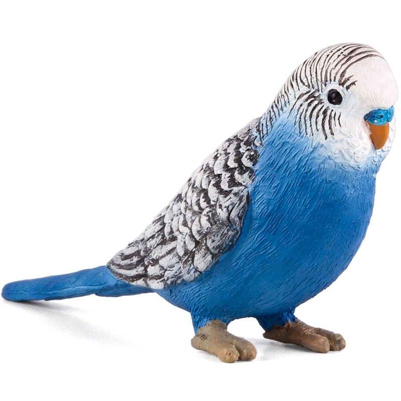 Animal Planet - Mojo Budgerigar - Blue