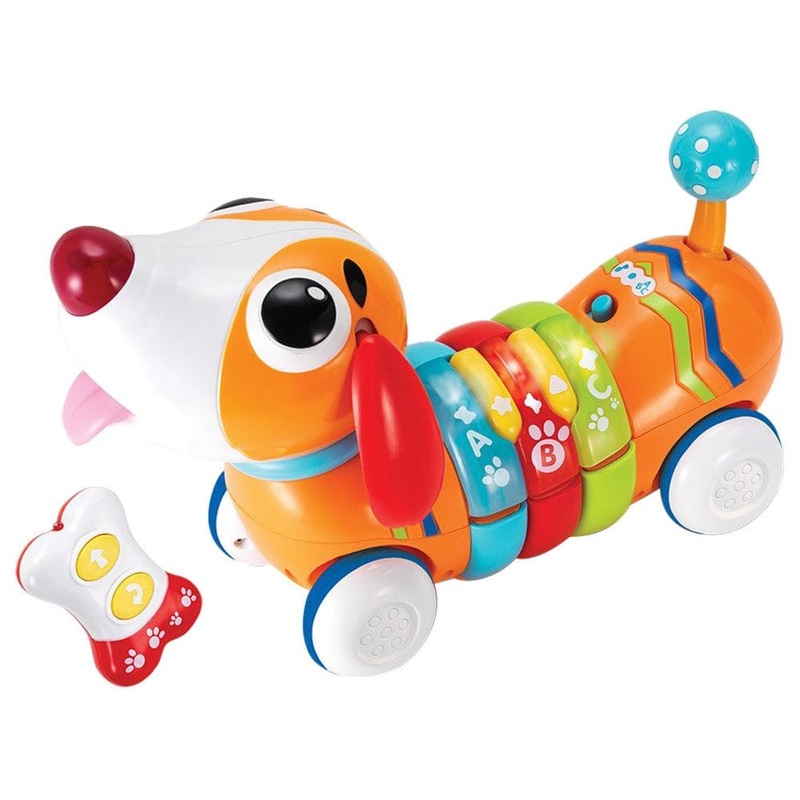 Winfun R/C Rainbow Pup