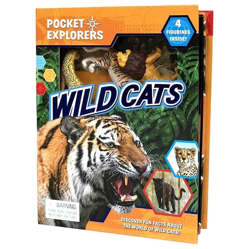 Phidal - Wildcats Pocket Explorers