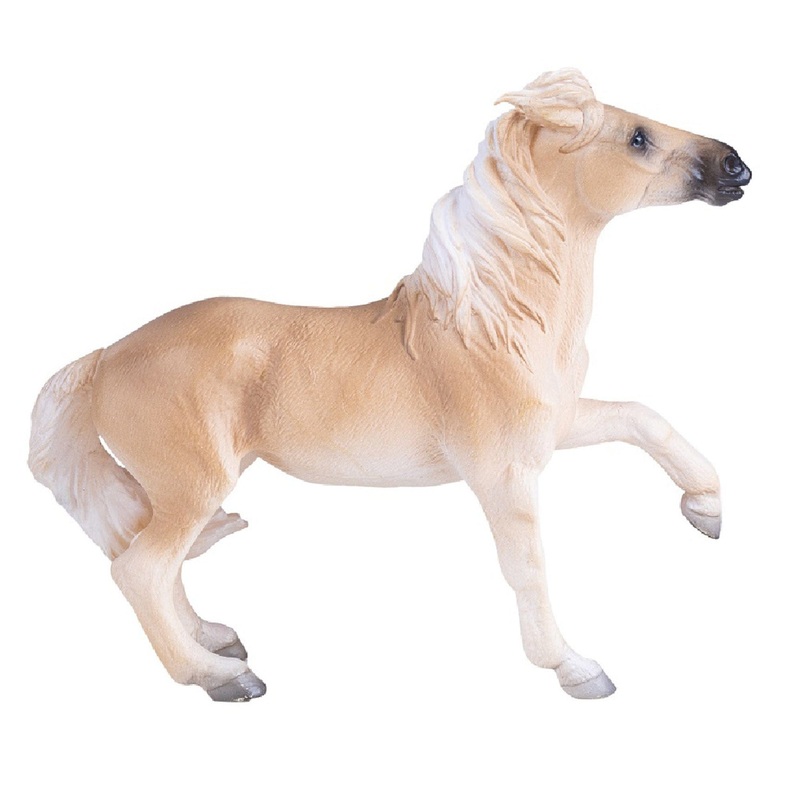 Animal Planet - Mojo Brumby Mare
