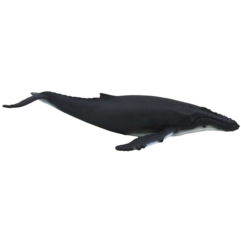 Animal Planet - Mojo Humpback Whale