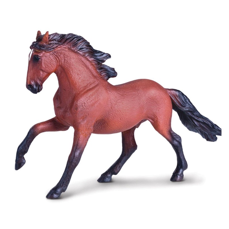 Animal Planet - Mojo Lusitano Bay