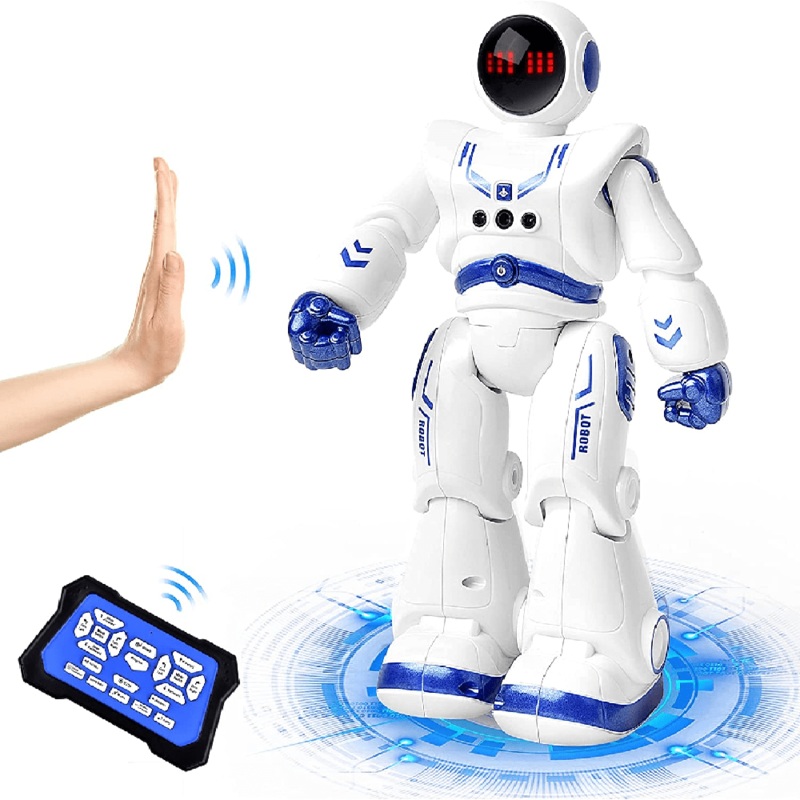 Hongrui R/C Robot