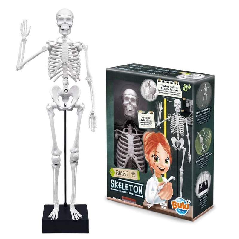 Buki - Skeleton 45 cm