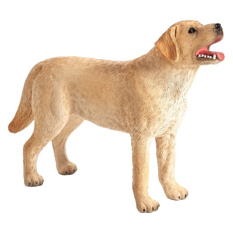 Animal Planet - Mojo Labrador