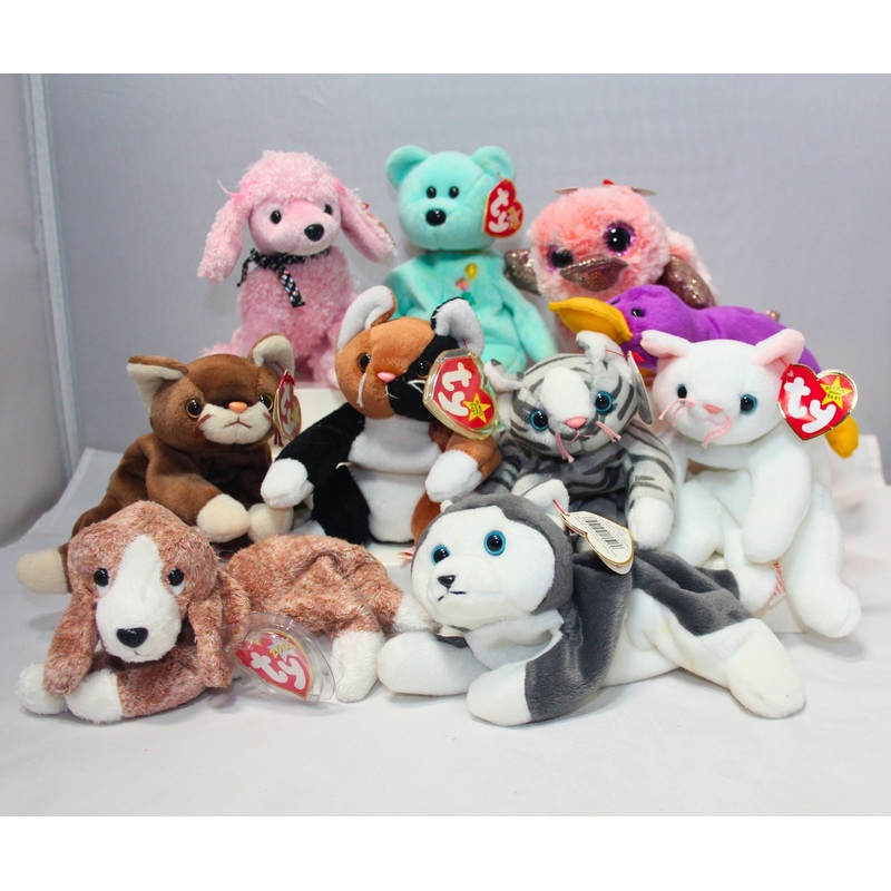 Lot of 10 Beanie Babies | Non-Mint Tags | Boos, Cats, Dogs, & More