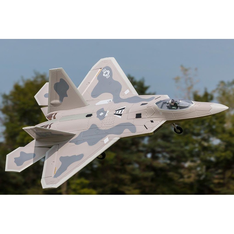 Freewing F-22 Raptor 64mm EDF Jet - PNP