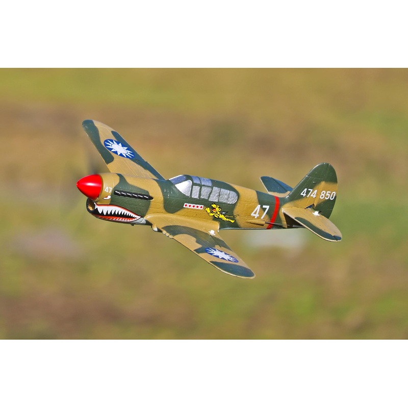 Skynetic P-40 EPP with Gyro 400mm (15.7") Wingspan - FTR